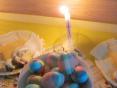 IMG_5991 800.jpg